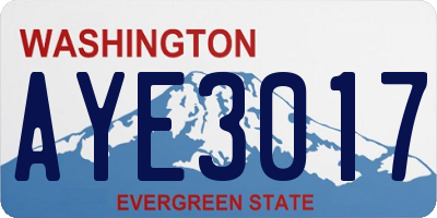 WA license plate AYE3017