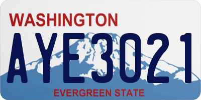 WA license plate AYE3021