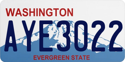 WA license plate AYE3022
