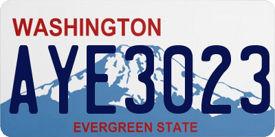 WA license plate AYE3023