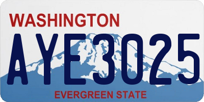 WA license plate AYE3025