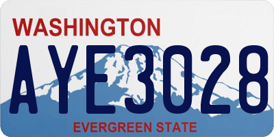 WA license plate AYE3028