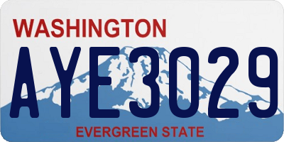 WA license plate AYE3029