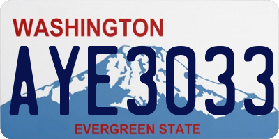 WA license plate AYE3033
