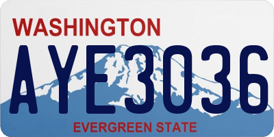 WA license plate AYE3036