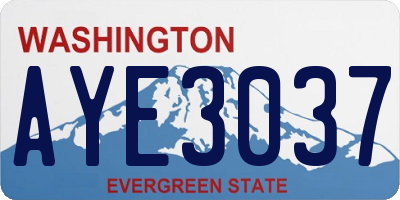 WA license plate AYE3037