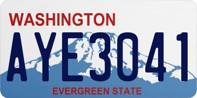 WA license plate AYE3041