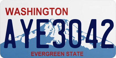 WA license plate AYE3042