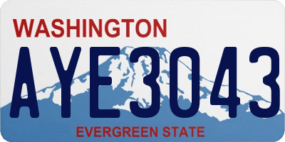 WA license plate AYE3043