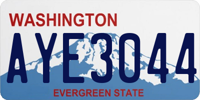 WA license plate AYE3044