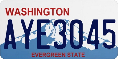 WA license plate AYE3045