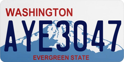 WA license plate AYE3047