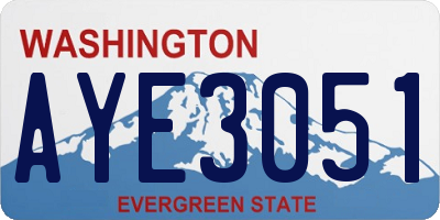 WA license plate AYE3051