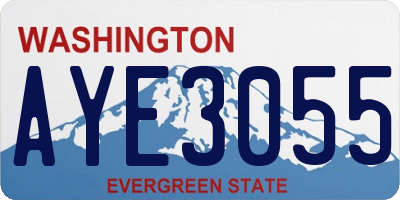 WA license plate AYE3055