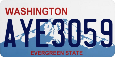 WA license plate AYE3059