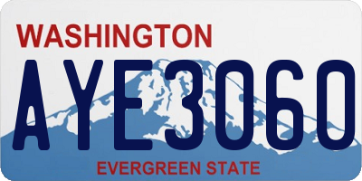 WA license plate AYE3060