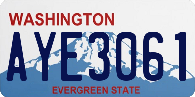 WA license plate AYE3061