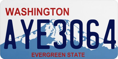WA license plate AYE3064