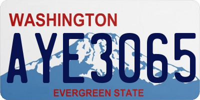 WA license plate AYE3065