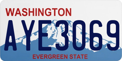 WA license plate AYE3069