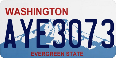 WA license plate AYE3073