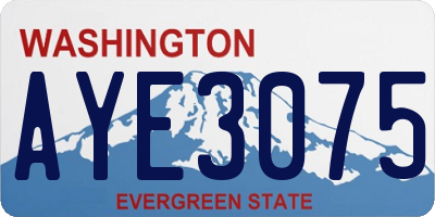 WA license plate AYE3075