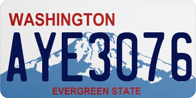 WA license plate AYE3076