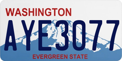 WA license plate AYE3077