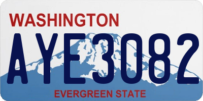 WA license plate AYE3082