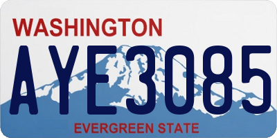 WA license plate AYE3085
