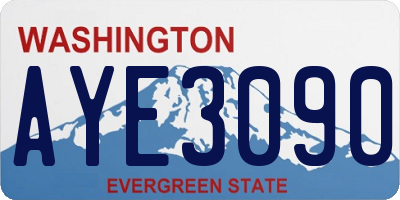 WA license plate AYE3090