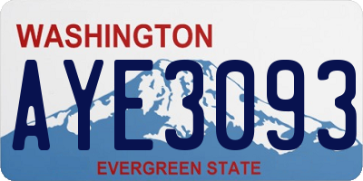 WA license plate AYE3093