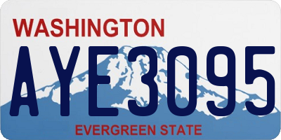 WA license plate AYE3095