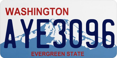 WA license plate AYE3096