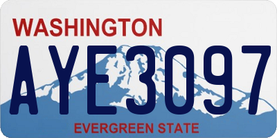 WA license plate AYE3097