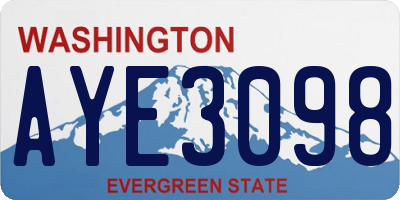 WA license plate AYE3098