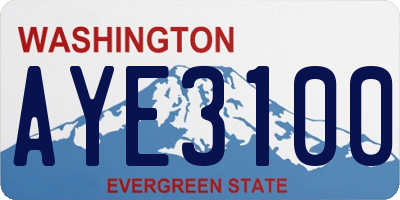 WA license plate AYE3100