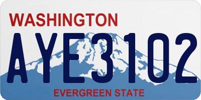 WA license plate AYE3102