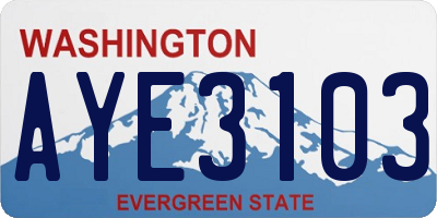 WA license plate AYE3103