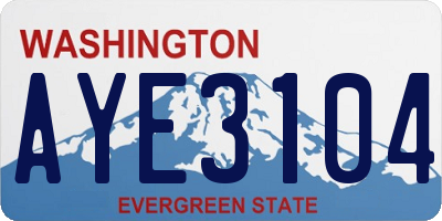 WA license plate AYE3104