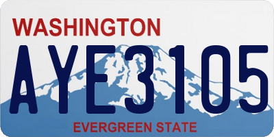 WA license plate AYE3105