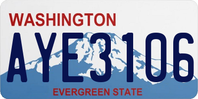 WA license plate AYE3106