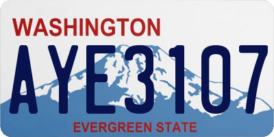 WA license plate AYE3107
