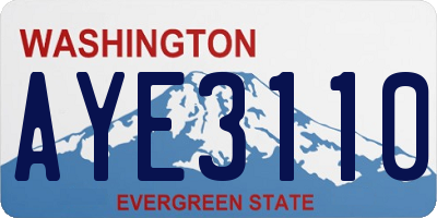 WA license plate AYE3110