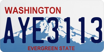 WA license plate AYE3113