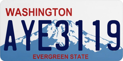 WA license plate AYE3119