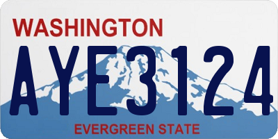 WA license plate AYE3124