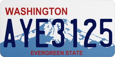 WA license plate AYE3125