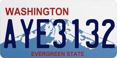 WA license plate AYE3132