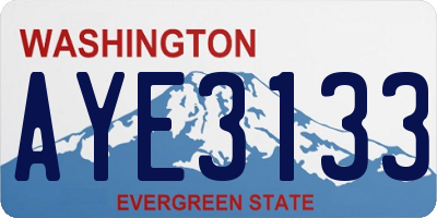 WA license plate AYE3133